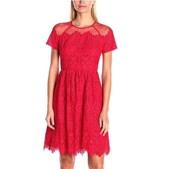 Maggy London Lace Fit Flare Dress - Picture 1 of 4